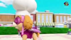 انیمیشن پاوپاترول قسمت بیست و نهم از فصل سوم PawPatrol S03E29